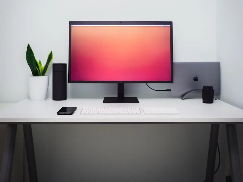 Ergonomische werkplek met verstelbaar bureau en plant bij een raam
